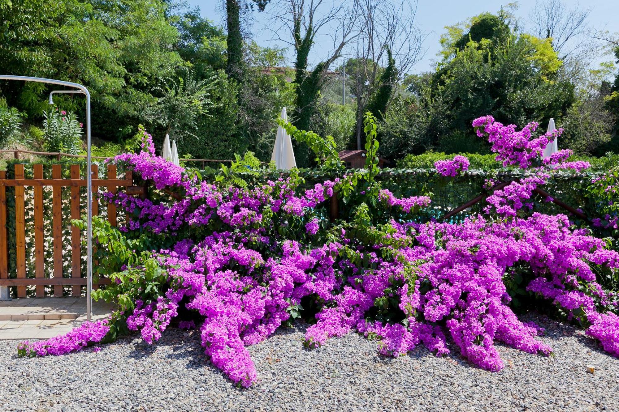 Apart-hotel Garden Relais Le Fontanelle 3*
